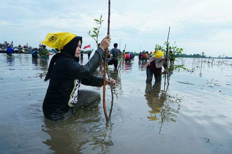 Foto-foto Mengikuti Kegiatan Konsevasi Penanaman Pohon Rambai STIENAS Banjarmasin